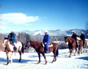 Farm by The River Winter Horseback Riding