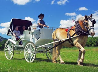 Farm by the River Stables carriage ride in North Conway NH