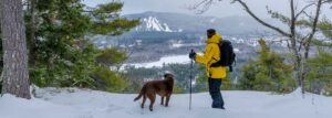 north conway hiking dogs