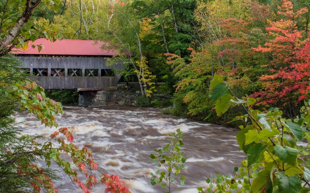 covered bridge foliage