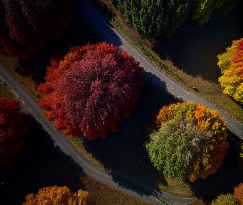 North Conway Foliage