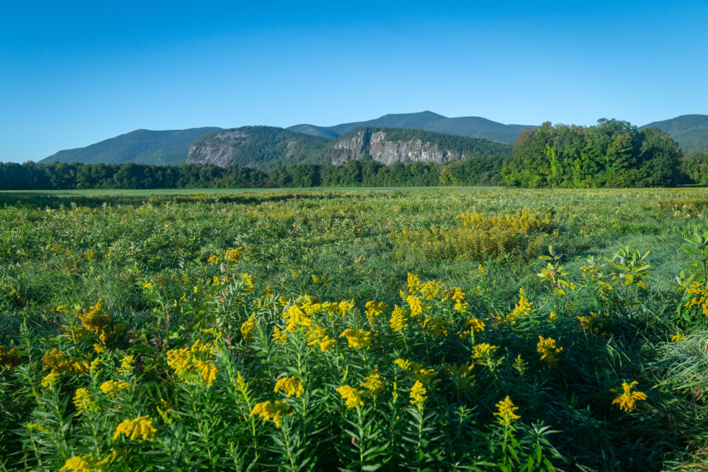 FoliageSeptWeek42024 North Conway NH area foliage Information and Guide