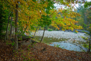 fall foliage white mountains nh