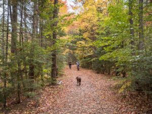 mountain biking north conway