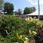 Mt. Washington Valley July Craft Fair