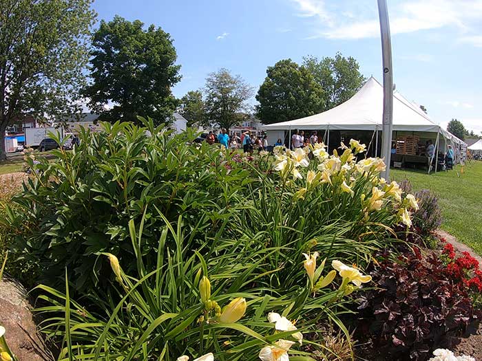 Mt. Washington Valley July Craft Fair
