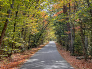 kancamagus fall foliage