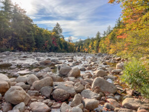 kancamagus fall foliage