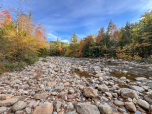 kancamagus fall foliage