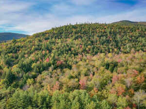 kancamagus fall foliage