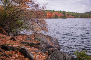 north conway fall foliage