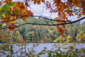 north conway fall foliage
