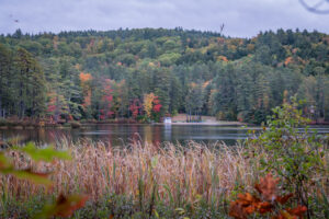 north conway fall foliage