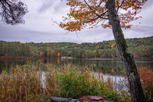 north conway fall foliage