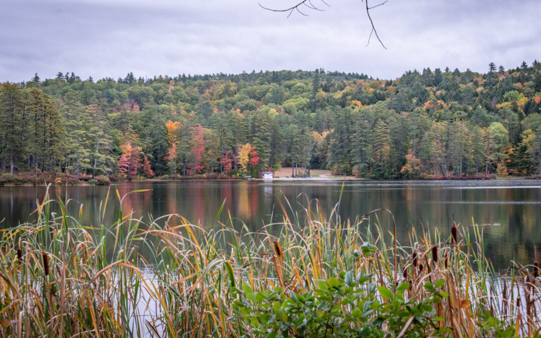 north conway fall foliage