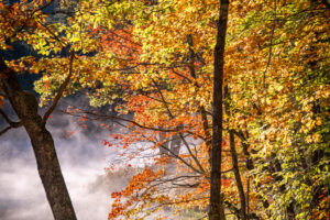 north conway fall foliage