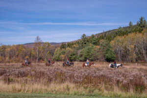 north conway fall foliage