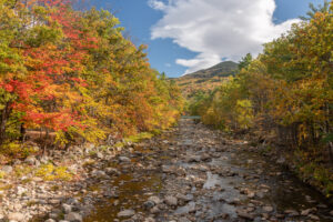 north conway fall foliage