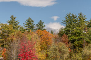 north conway fall foliage
