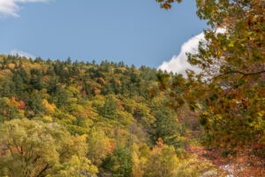 north conway fall foliage