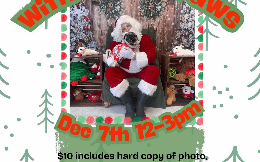 Pet Photos with Santa Paws