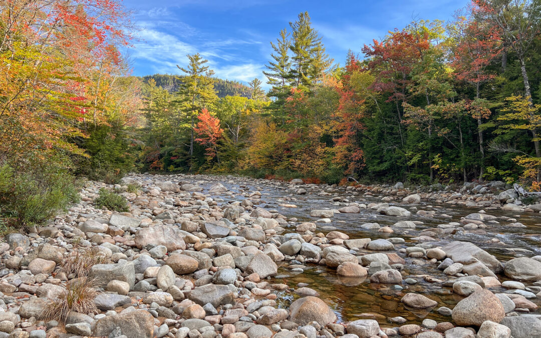 Swift River Kancamagus foliage