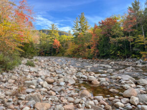 Swift River Kancamagus foliage