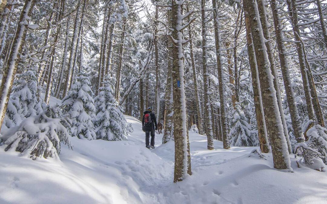Winter Hiking in the White Mountains of NH