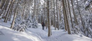 winter hiking north conway area