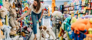 Pet supplies around North Conway