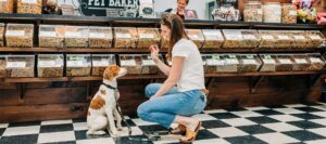 pet shops north conway