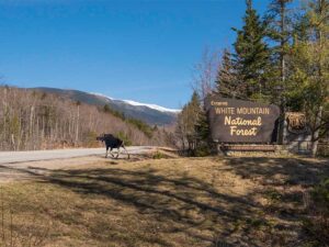 spring White Mountains