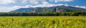 Cathedral Ledge north conway