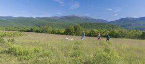 hiking north conway