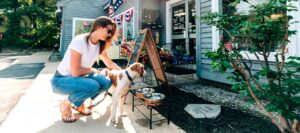 pet supplies north conway