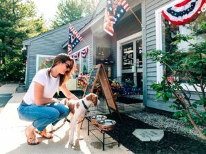 pet supplies north conway