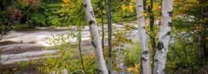 fall foliage reports north conway