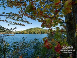 north conway area road trips