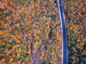 north conway area road trips