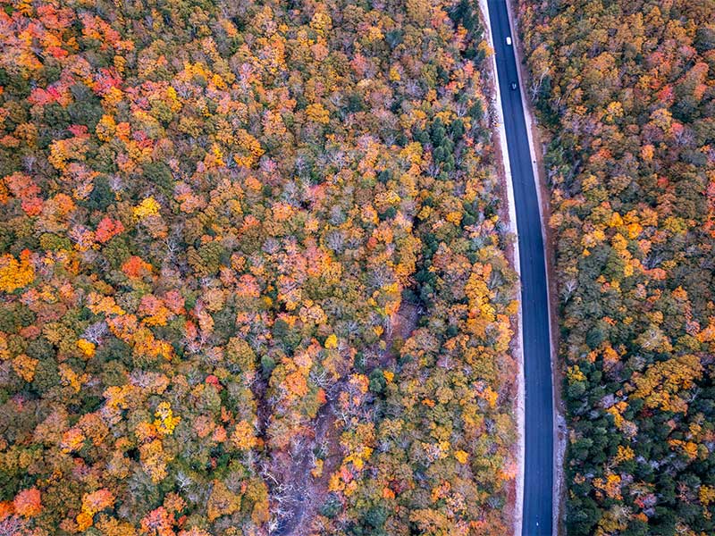 north conway area road trips